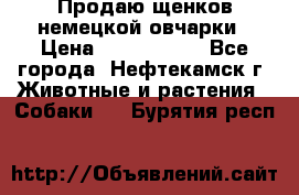 Продаю щенков немецкой овчарки › Цена ­ 5000-6000 - Все города, Нефтекамск г. Животные и растения » Собаки   . Бурятия респ.